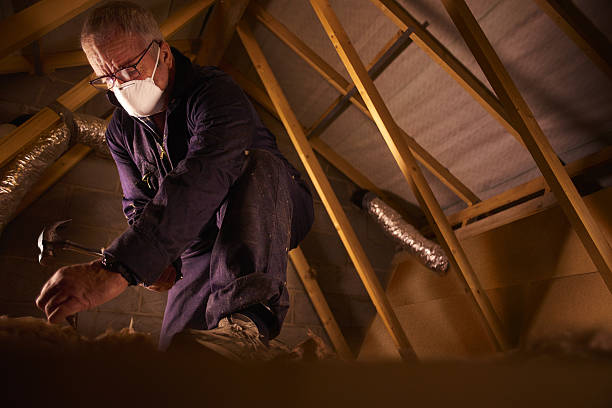 Best Sustainability and Green Building in Airy Heights, WA